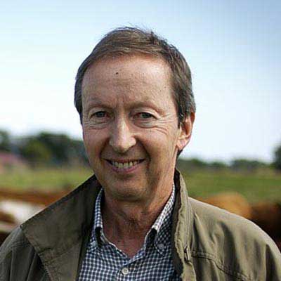 官方认证可用的cc网页端